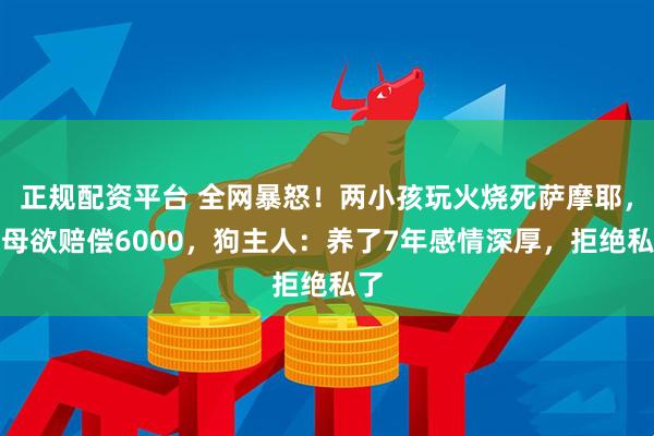 正规配资平台 全网暴怒！两小孩玩火烧死萨摩耶，父母欲赔偿6000，狗主人：养了7年感情深厚，拒绝私了