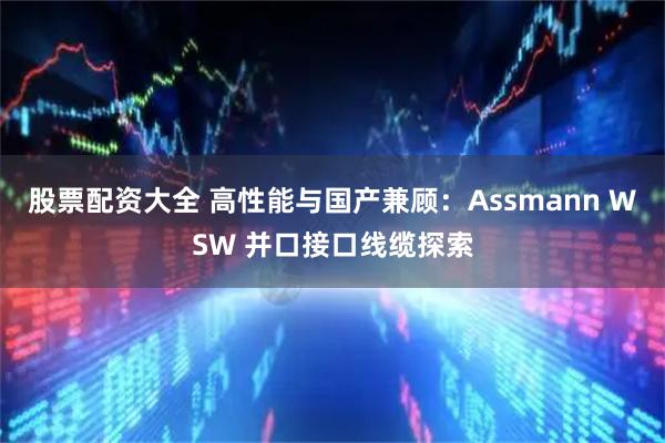 股票配资大全 高性能与国产兼顾：Assmann WSW 并口接口线缆探索