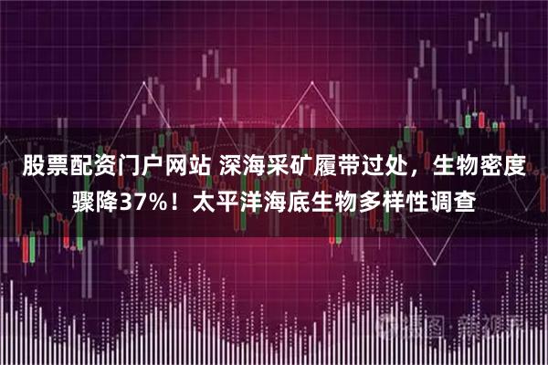 股票配资门户网站 深海采矿履带过处，生物密度骤降37%！太平洋海底生物多样性调查