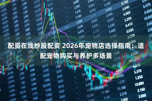 配资在线炒股配资 2026年宠物店选择指南：适配宠物购买与养护多场景
