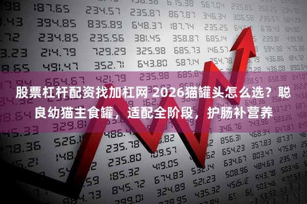 股票杠杆配资找加杠网 2026猫罐头怎么选？聪良幼猫主食罐，适配全阶段，护肠补营养