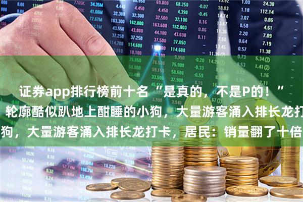证券app排行榜前十名 “是真的，不是P的！”湖北“小狗山”意外爆火，轮廓酷似趴地上酣睡的小狗，大量游客涌入排长龙打卡，居民：销量翻了十倍
